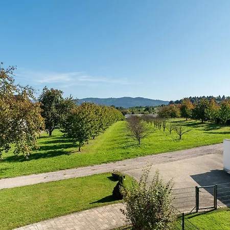 Casa vacanze Haus Langer Oberkirch (Baden)